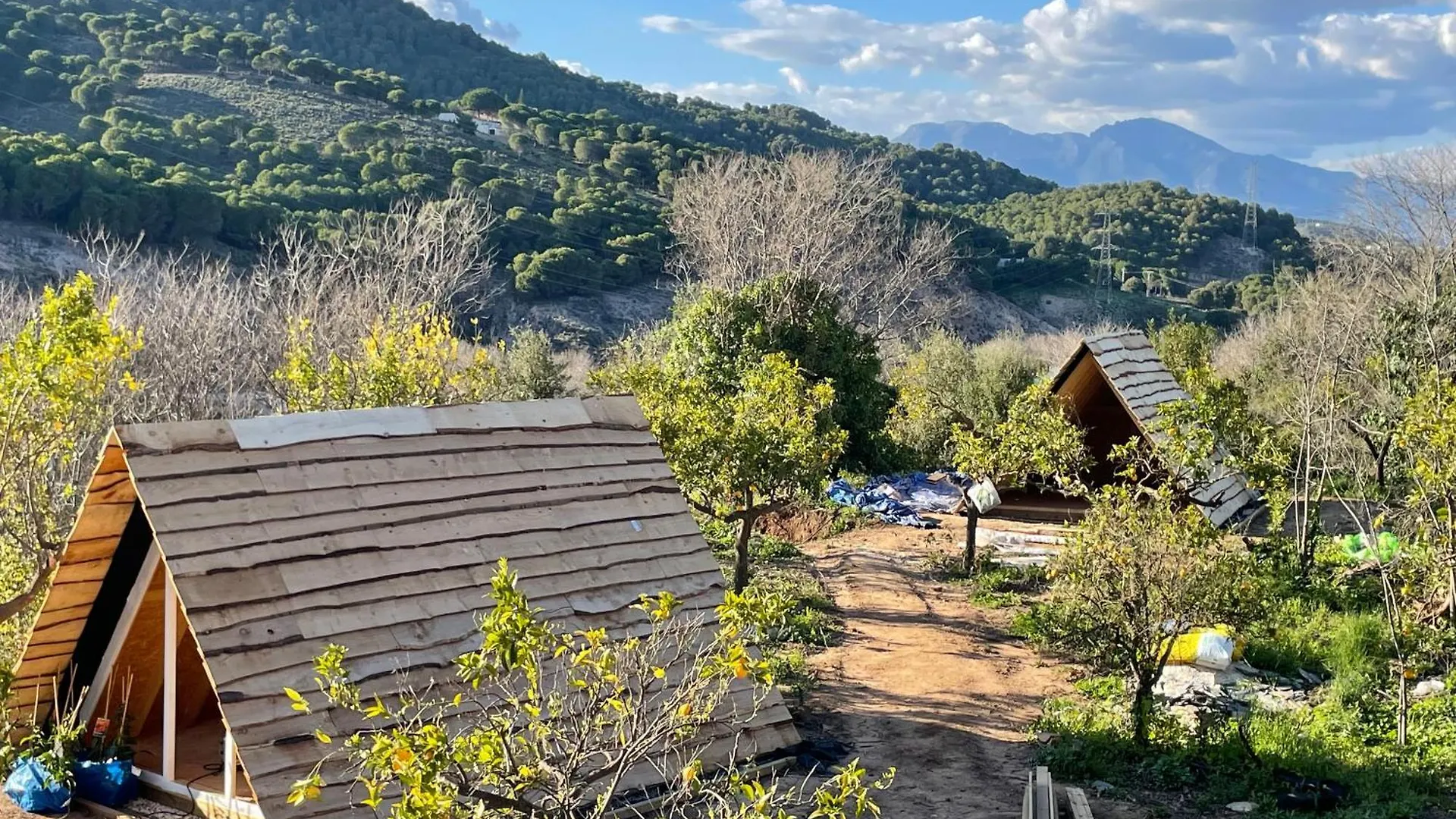 Bed and Breakfast The4Elements Monda