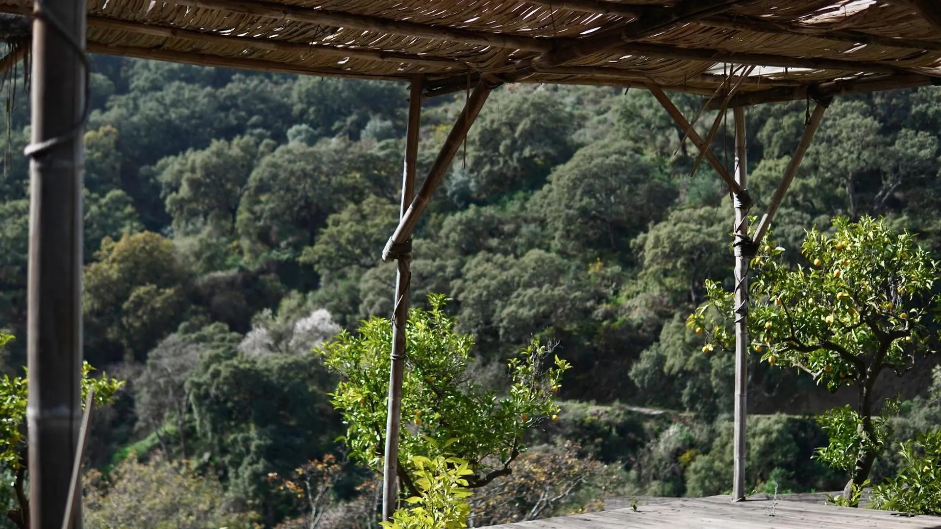 Bed and Breakfast The4Elements Monda