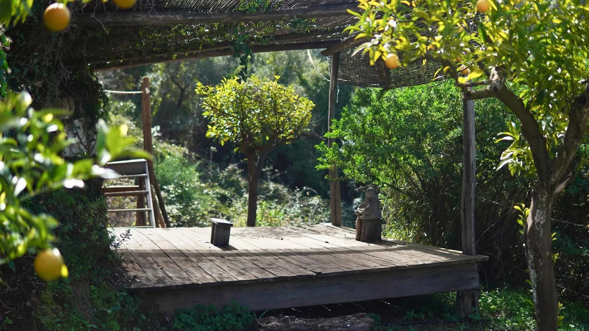 Bed & Breakfast Bed and Breakfast The4Elements Monda